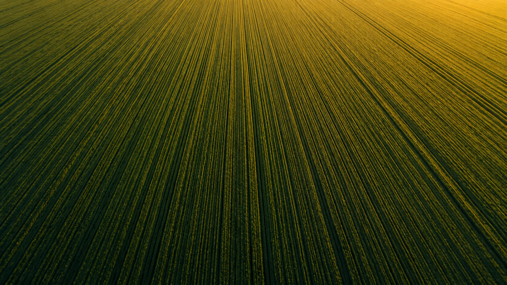 Sustaining Agricultural Development & Growth
